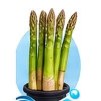 Asperge cultivé en tour hydroponique