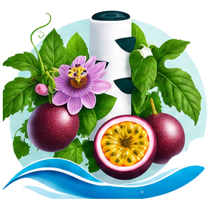 Fruit de la passion cultivé en tour hydroponique