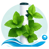 Menthe cultivé en tour hydroponique