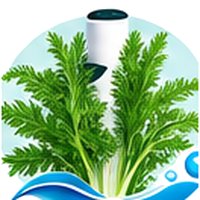 Mizuna cultivé en tour hydroponique