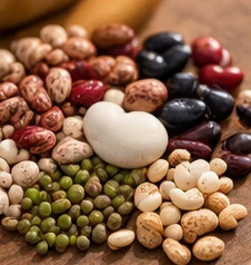 Mélange de graines de légumineuses