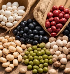 Graines de haricots, pois et lentilles en sacs