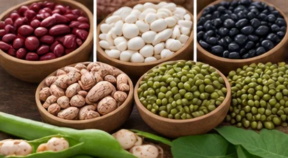 Bols de haricots secs rouges, blancs, noirs et de lentilles