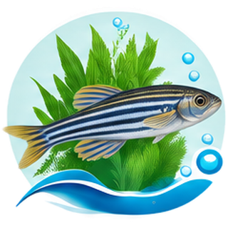 Poisson zèbre pour l’aquaponie